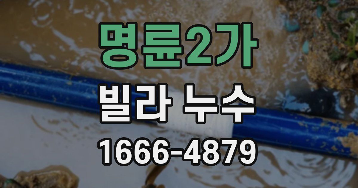 명륜2가 빌라 누수