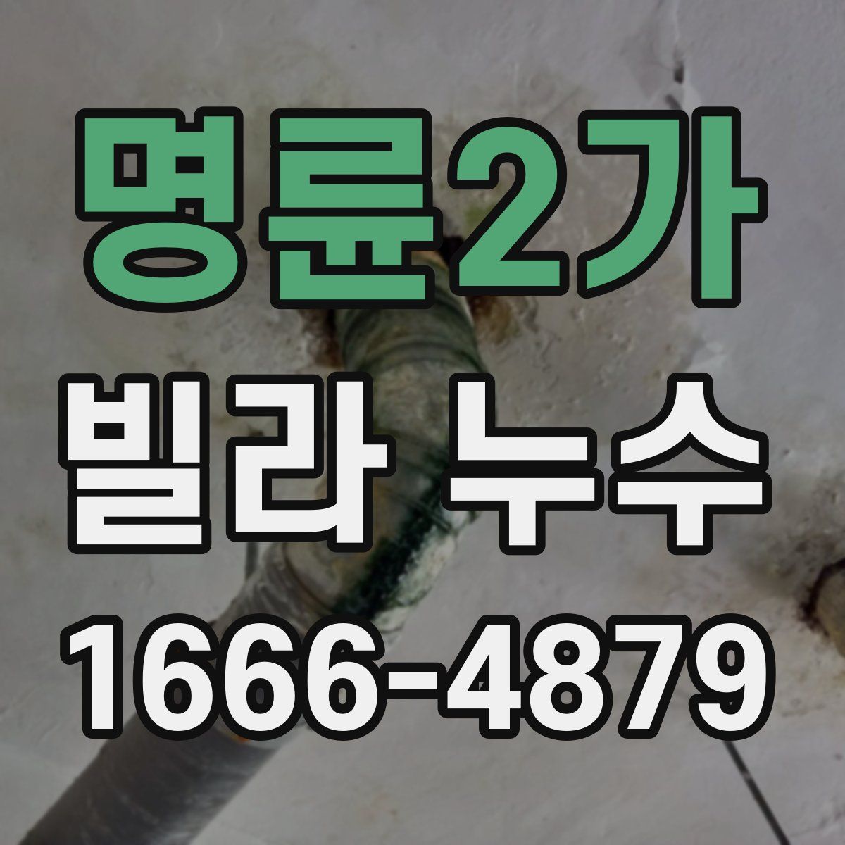 명륜2가 빌라 누수