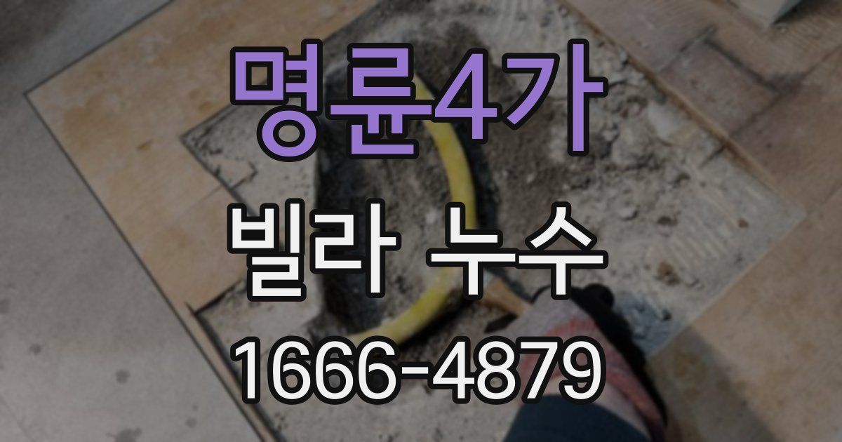 명륜4가 빌라 누수