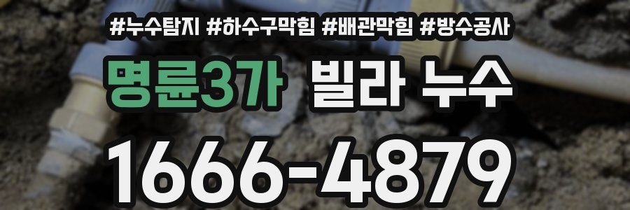 명륜3가 빌라 누수