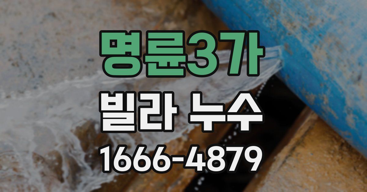 명륜3가 빌라 누수
