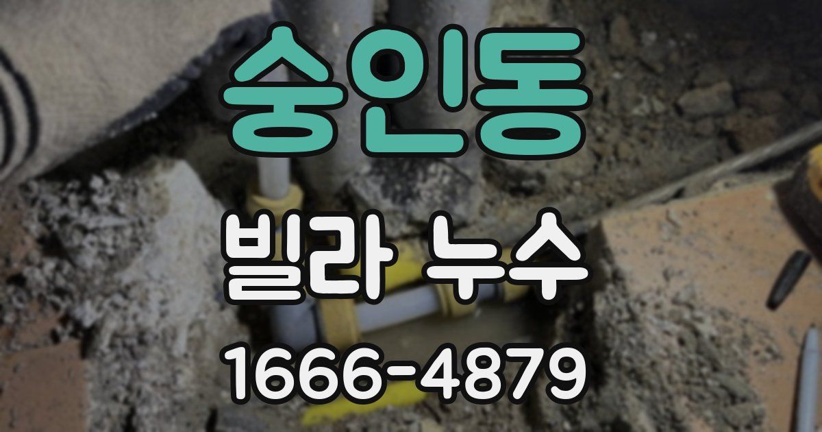 숭인동 빌라 누수
