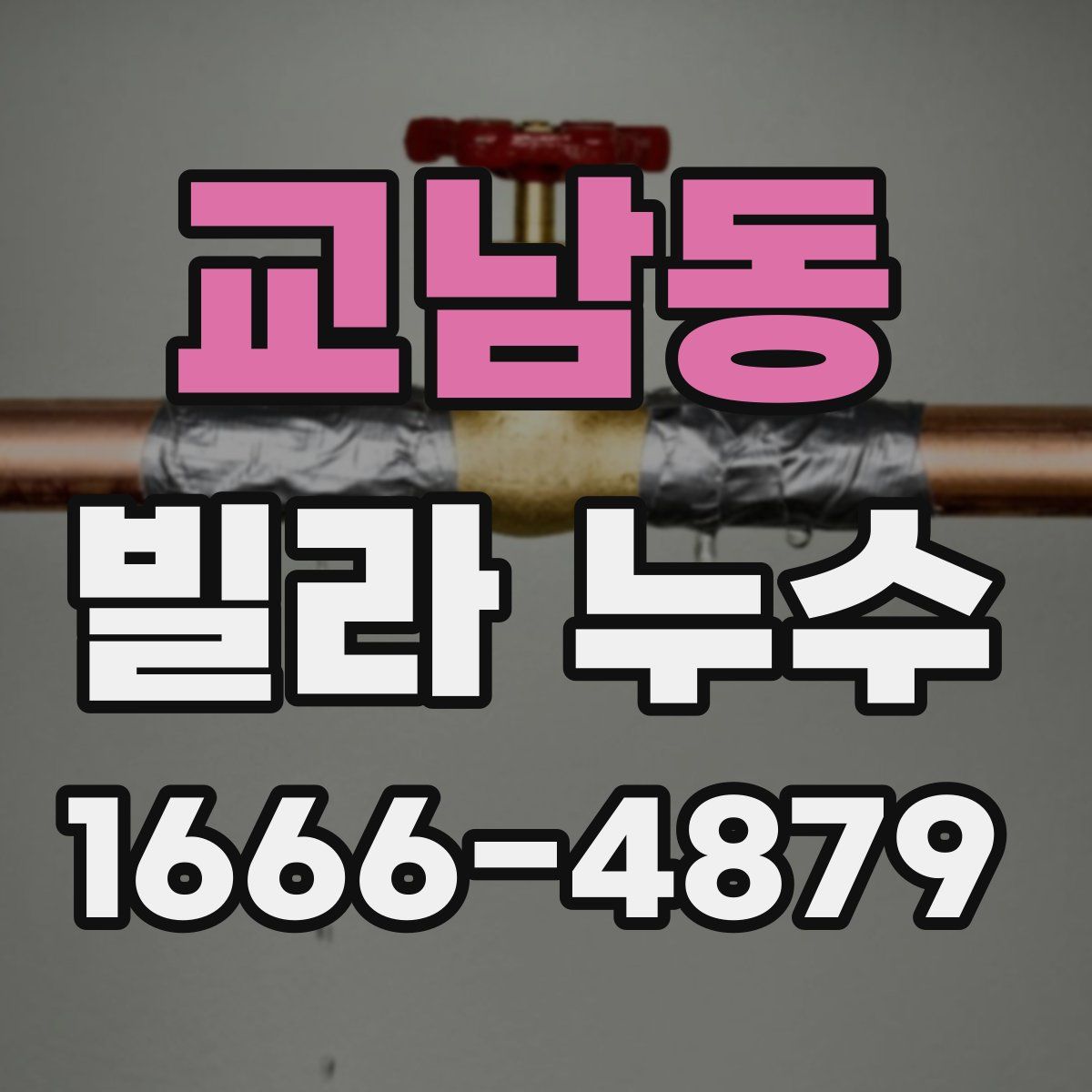 교남동 빌라 누수