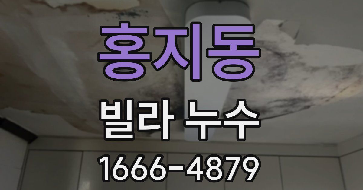 홍지동 빌라 누수
