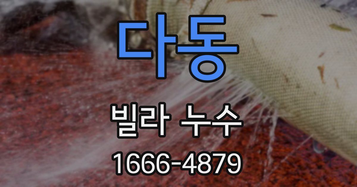 다동 빌라 누수