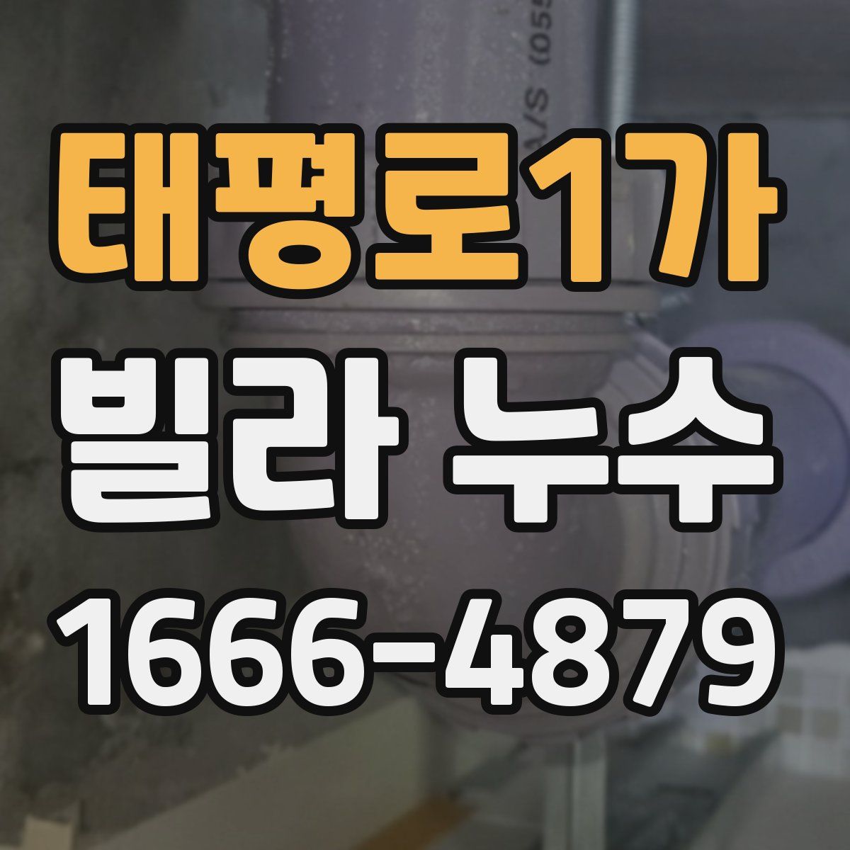 태평로1가 빌라 누수
