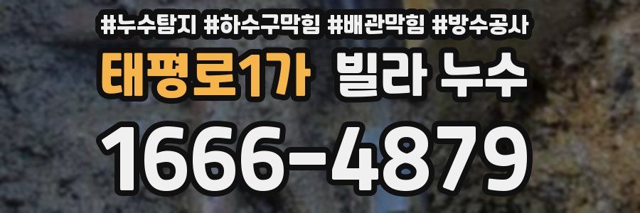태평로1가 빌라 누수