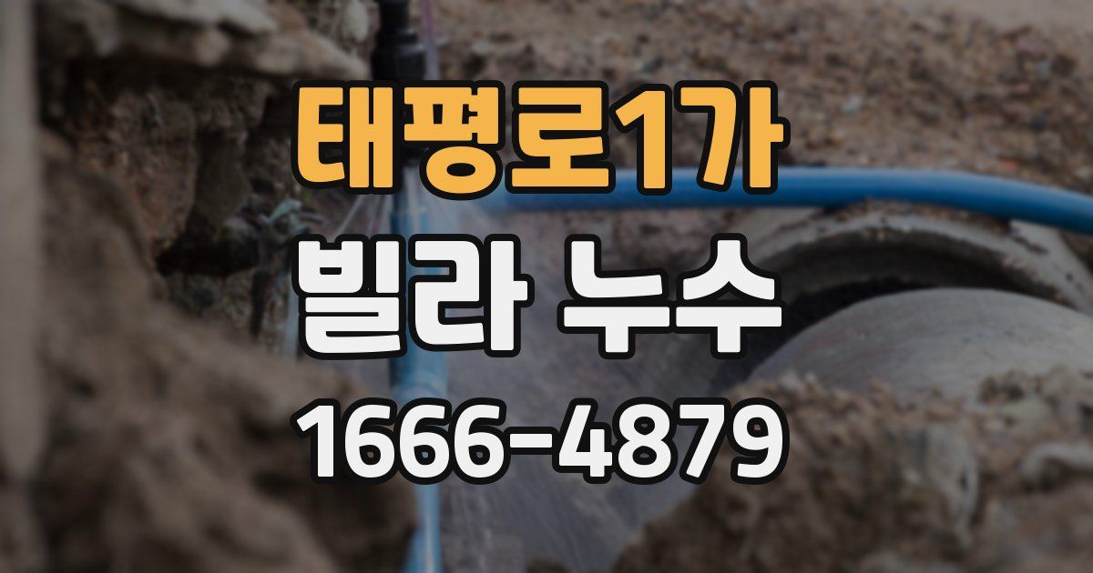 태평로1가 빌라 누수