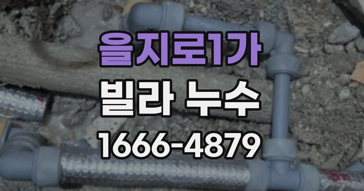 을지로1가 빌라 누수