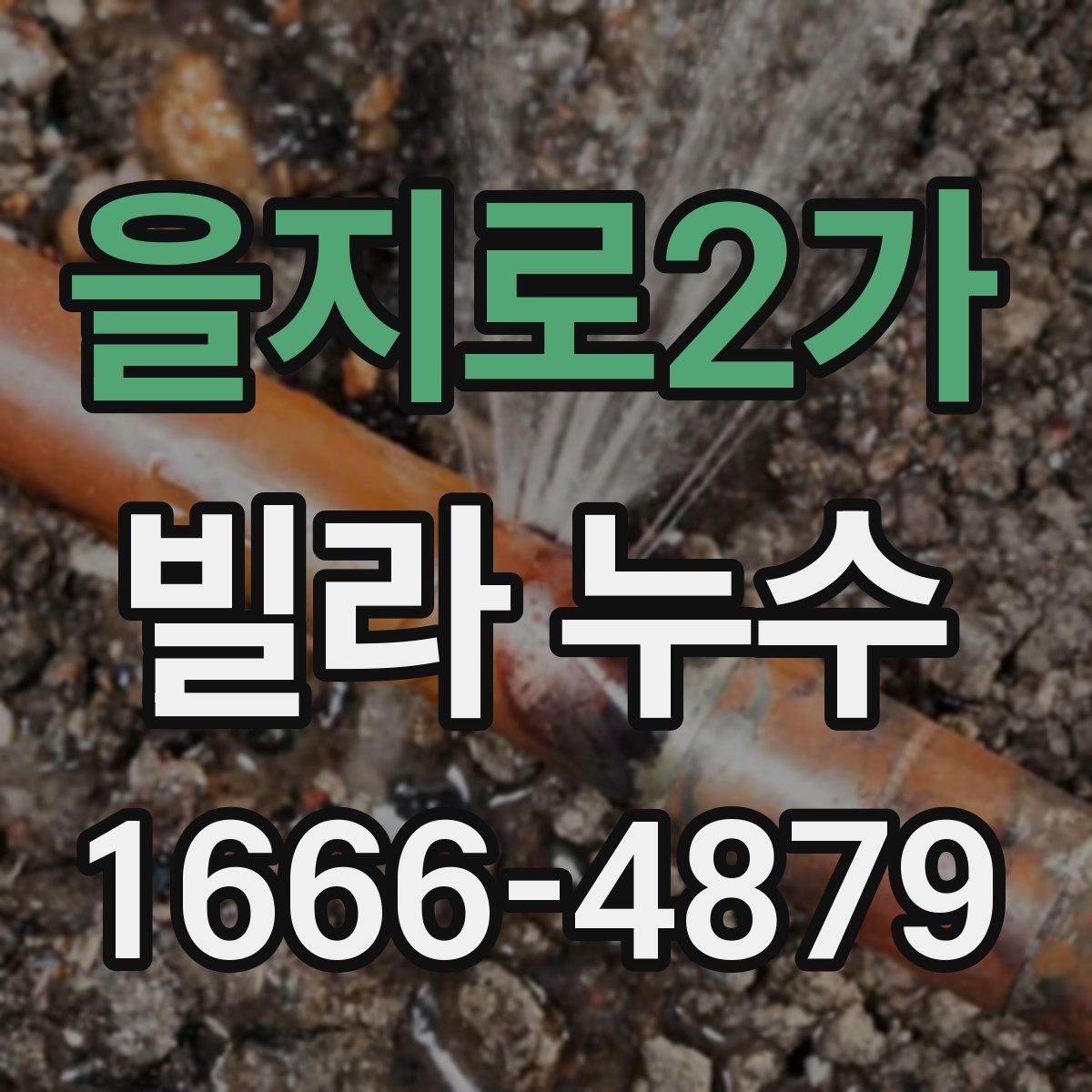 을지로2가 빌라 누수