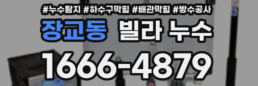 장교동 빌라 누수