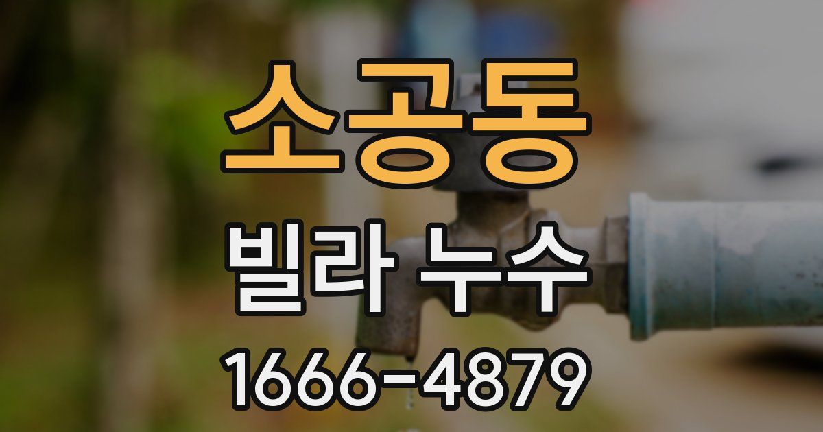 소공동 빌라 누수