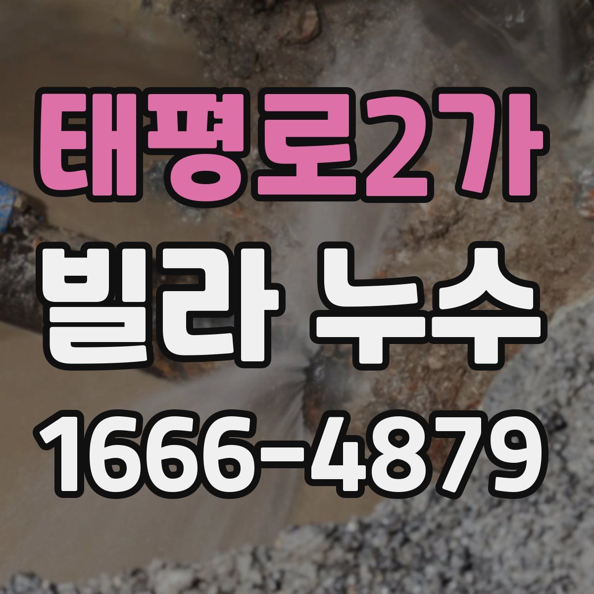 태평로2가 빌라 누수