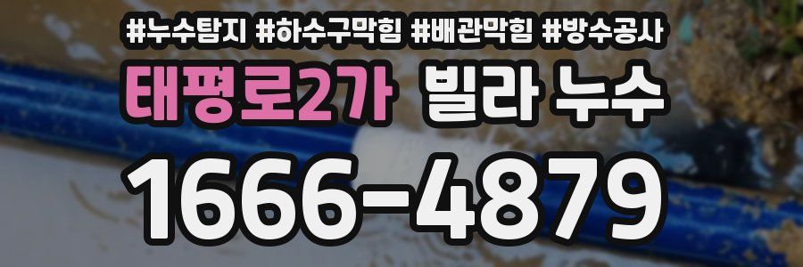 태평로2가 빌라 누수
