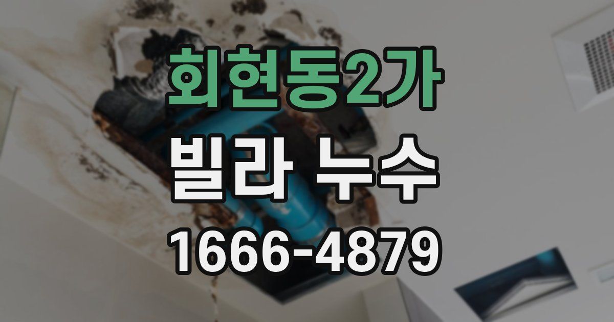 회현동2가 빌라 누수