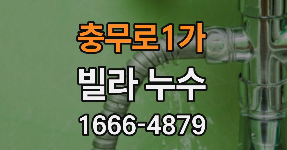 충무로1가 빌라 누수