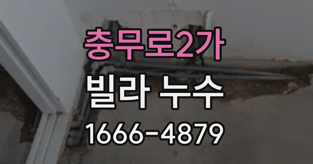 충무로2가 빌라 누수