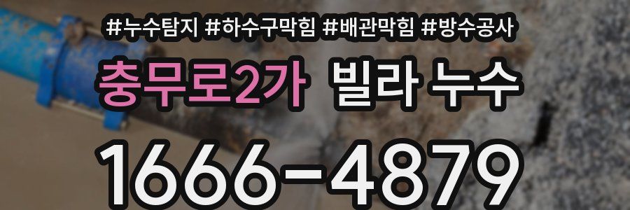 충무로2가 빌라 누수