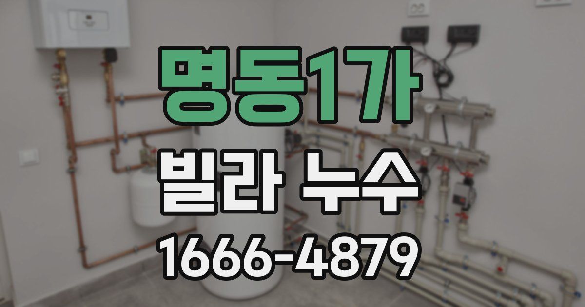 명동1가 빌라 누수