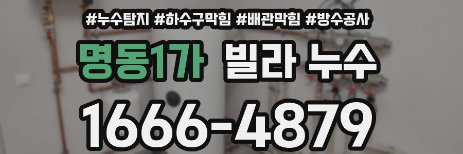 명동1가 빌라 누수