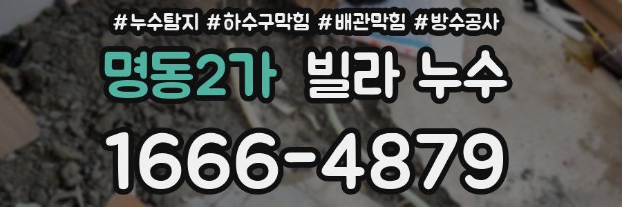 명동2가 빌라 누수