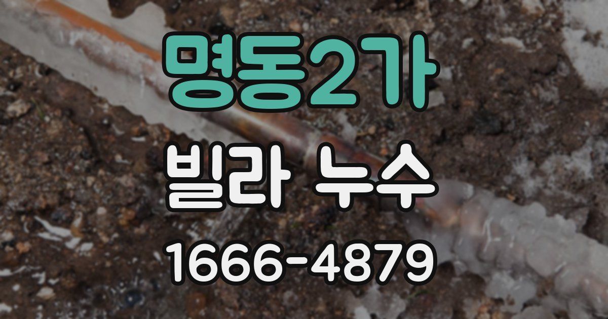 명동2가 빌라 누수