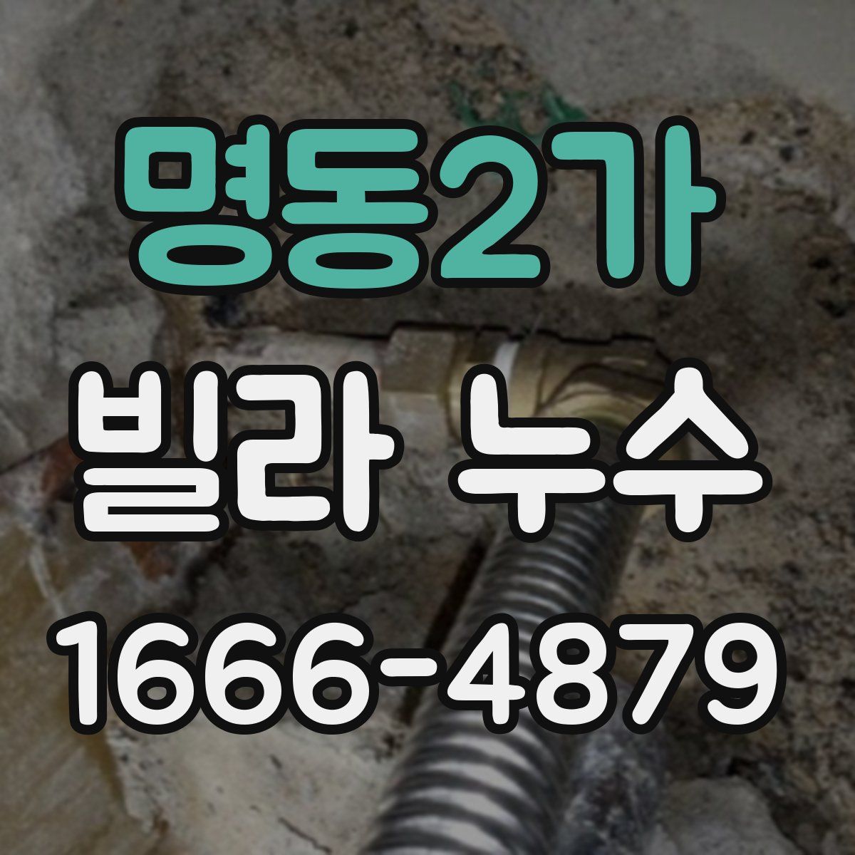 명동2가 빌라 누수
