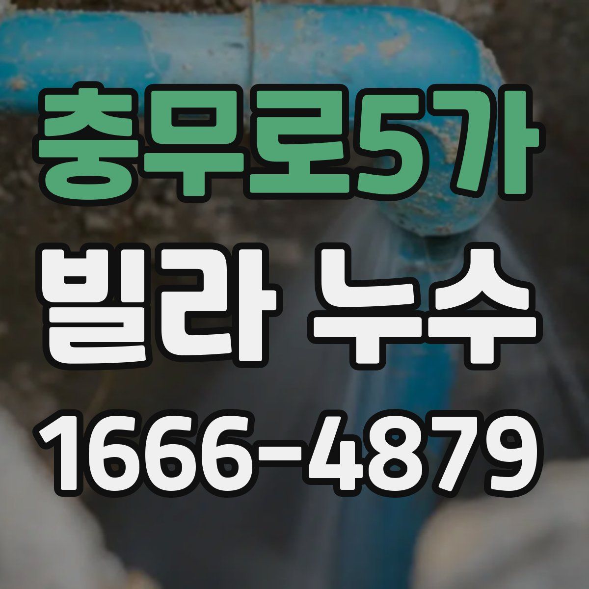 충무로5가 빌라 누수