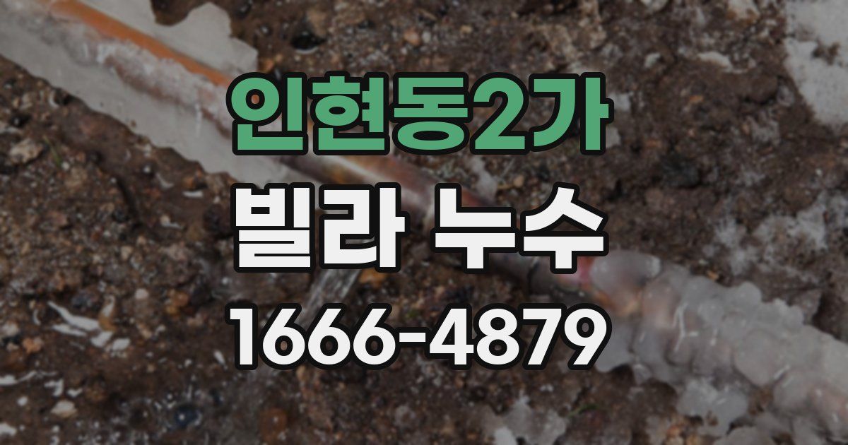 인현동2가 빌라 누수