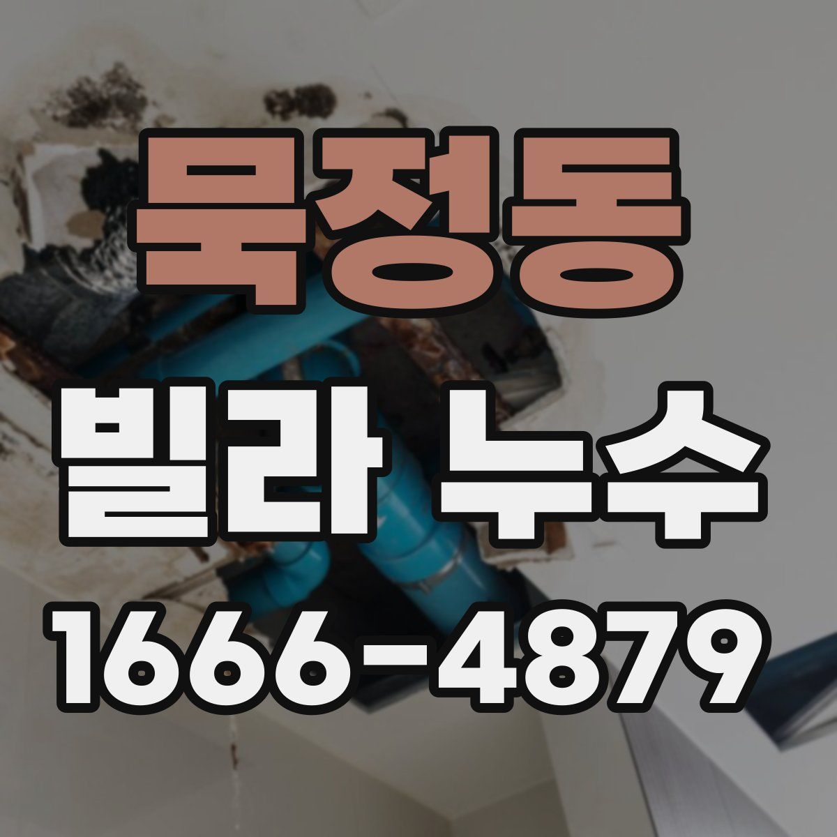 묵정동 빌라 누수