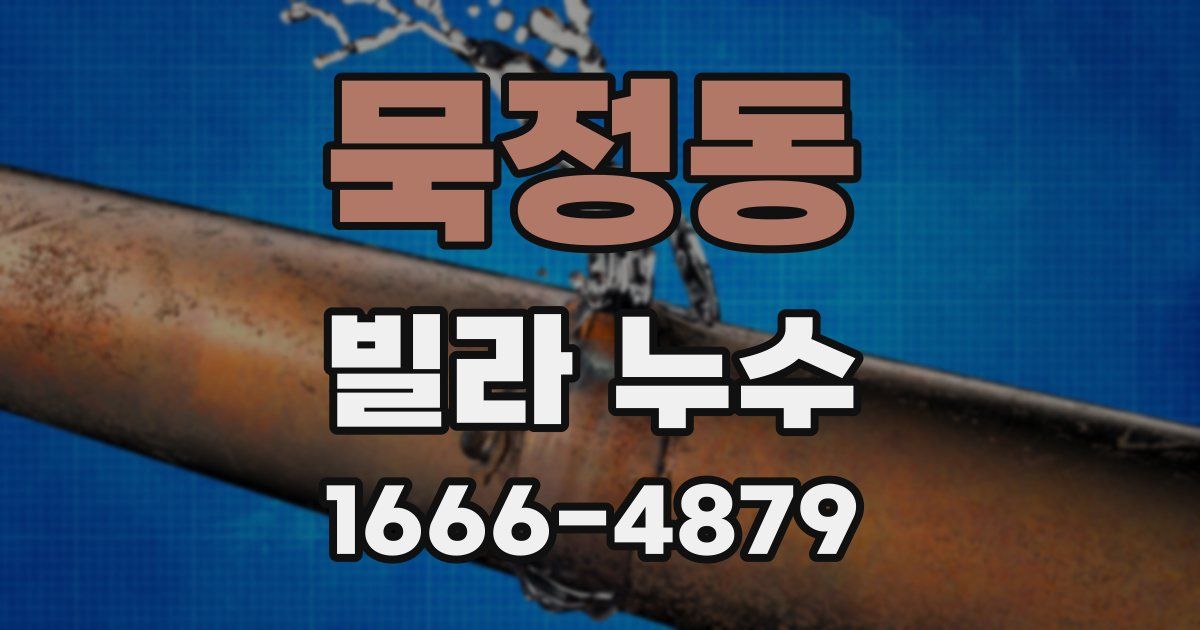 묵정동 빌라 누수
