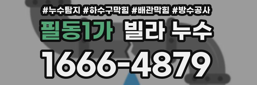 필동1가 빌라 누수