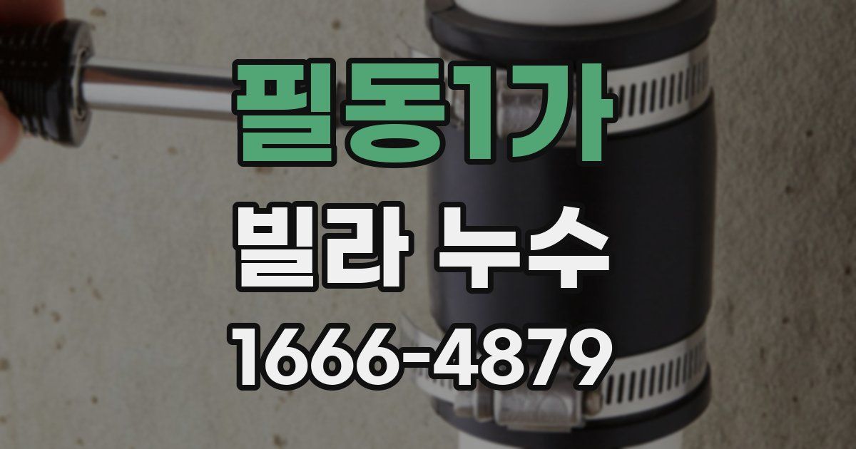 필동1가 빌라 누수