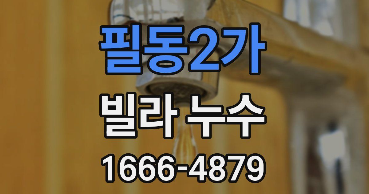 필동2가 빌라 누수