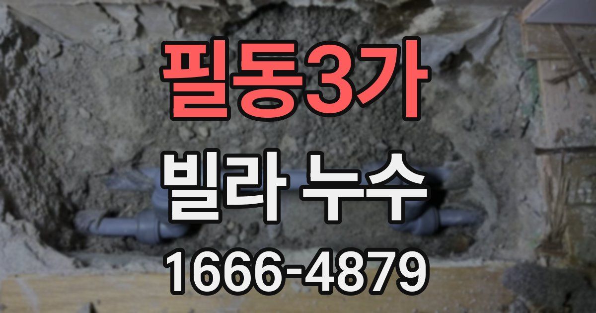 필동3가 빌라 누수