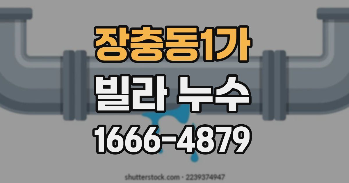 장충동1가 빌라 누수