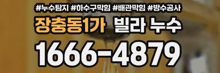장충동1가 빌라 누수