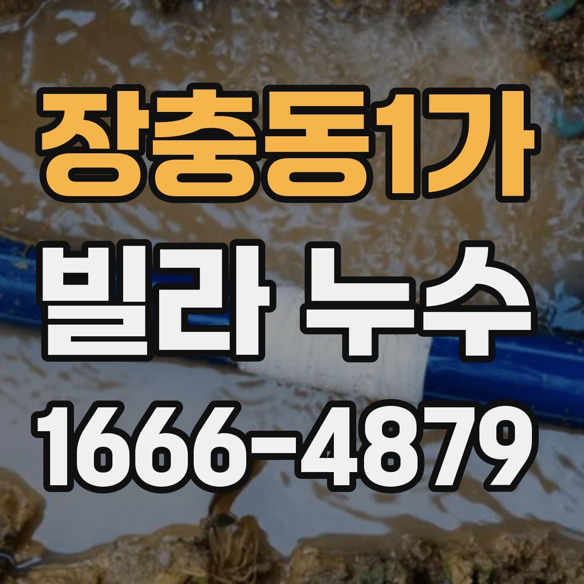 장충동1가 빌라 누수