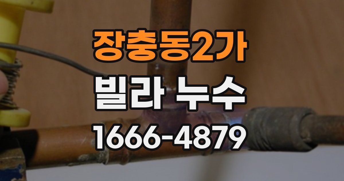 장충동2가 빌라 누수