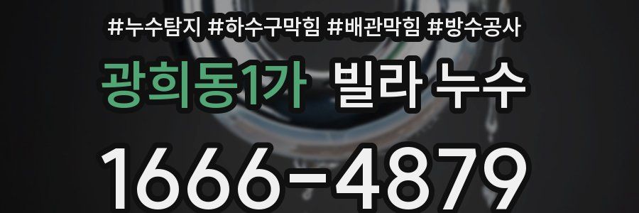 광희동1가 빌라 누수