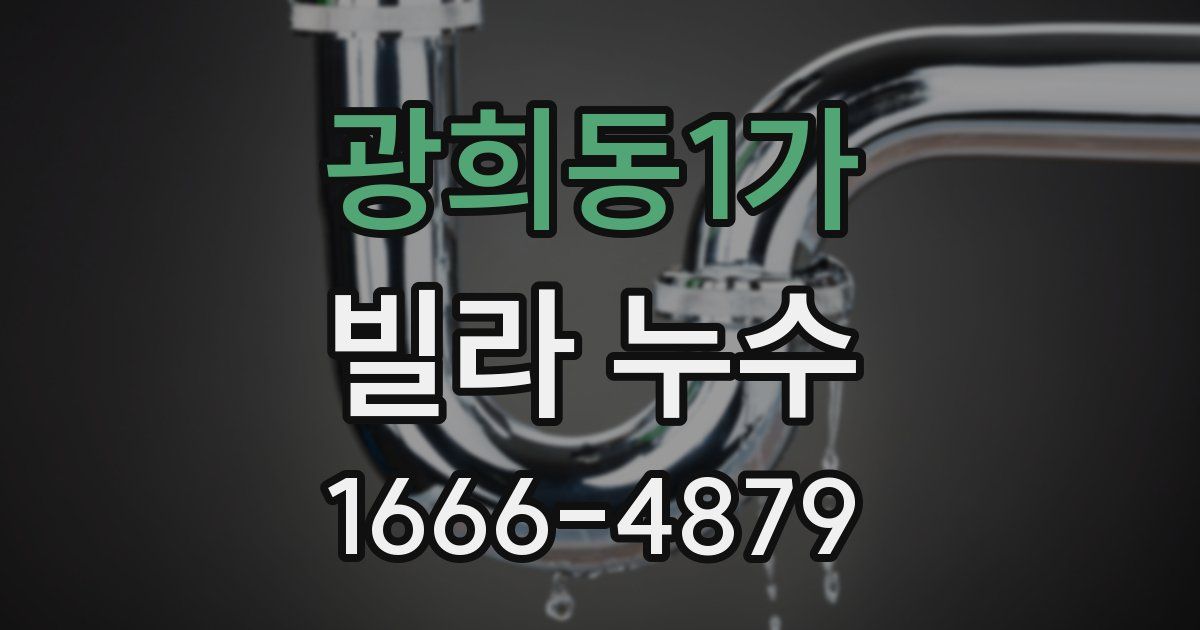 광희동1가 빌라 누수