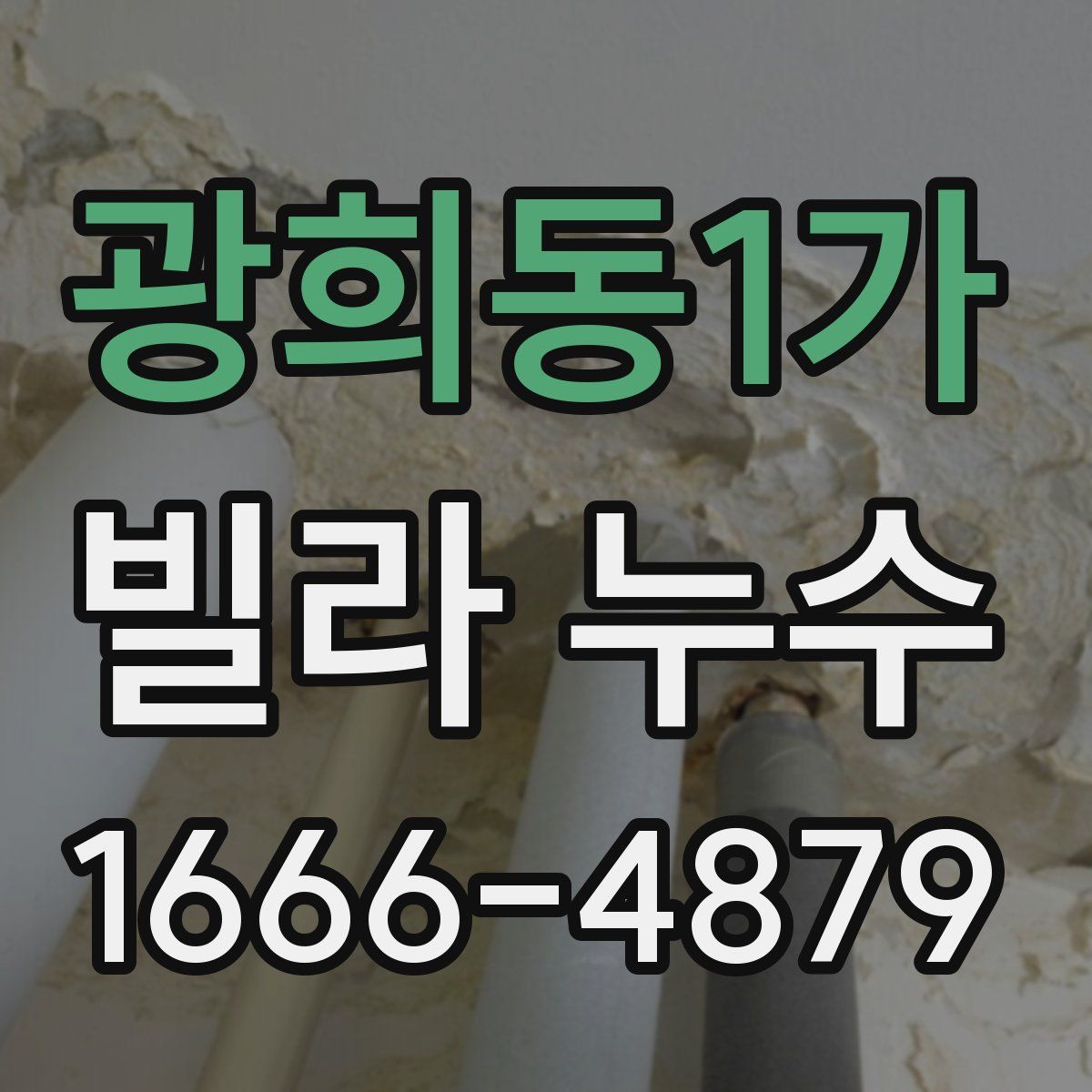 광희동1가 빌라 누수