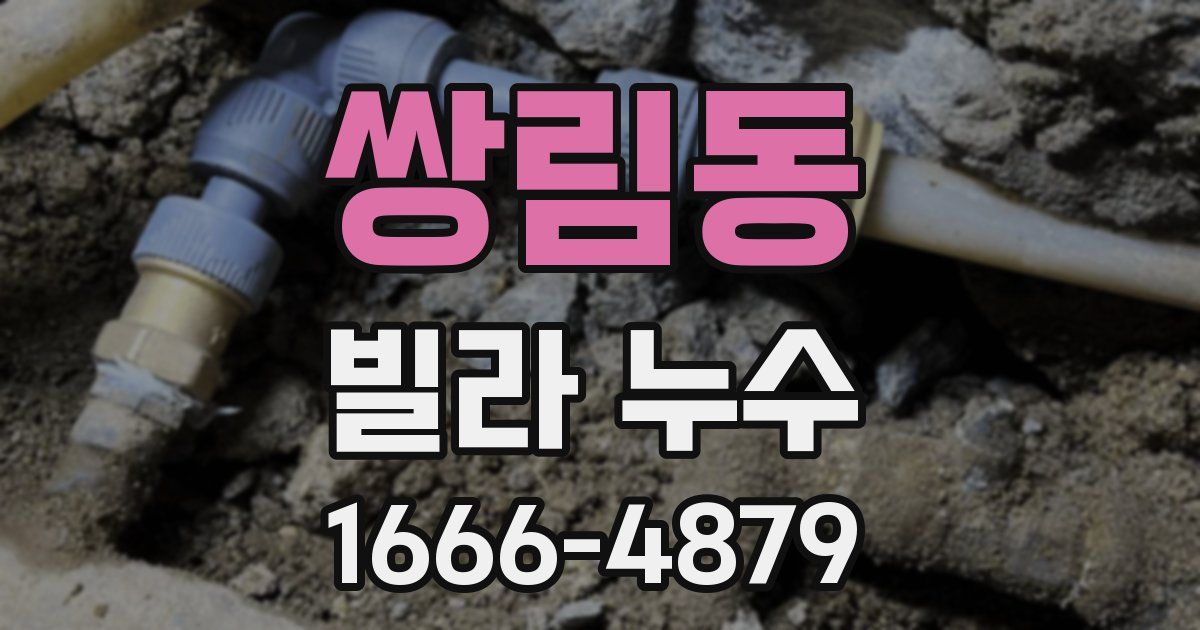 쌍림동 빌라 누수