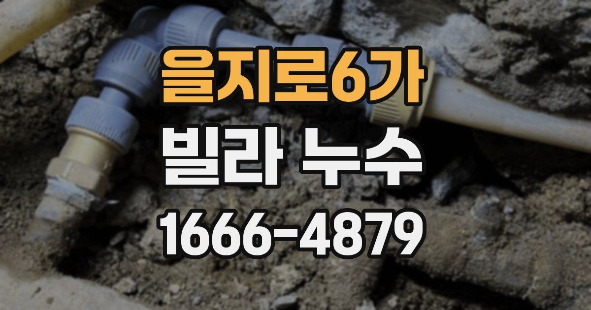 을지로6가 빌라 누수