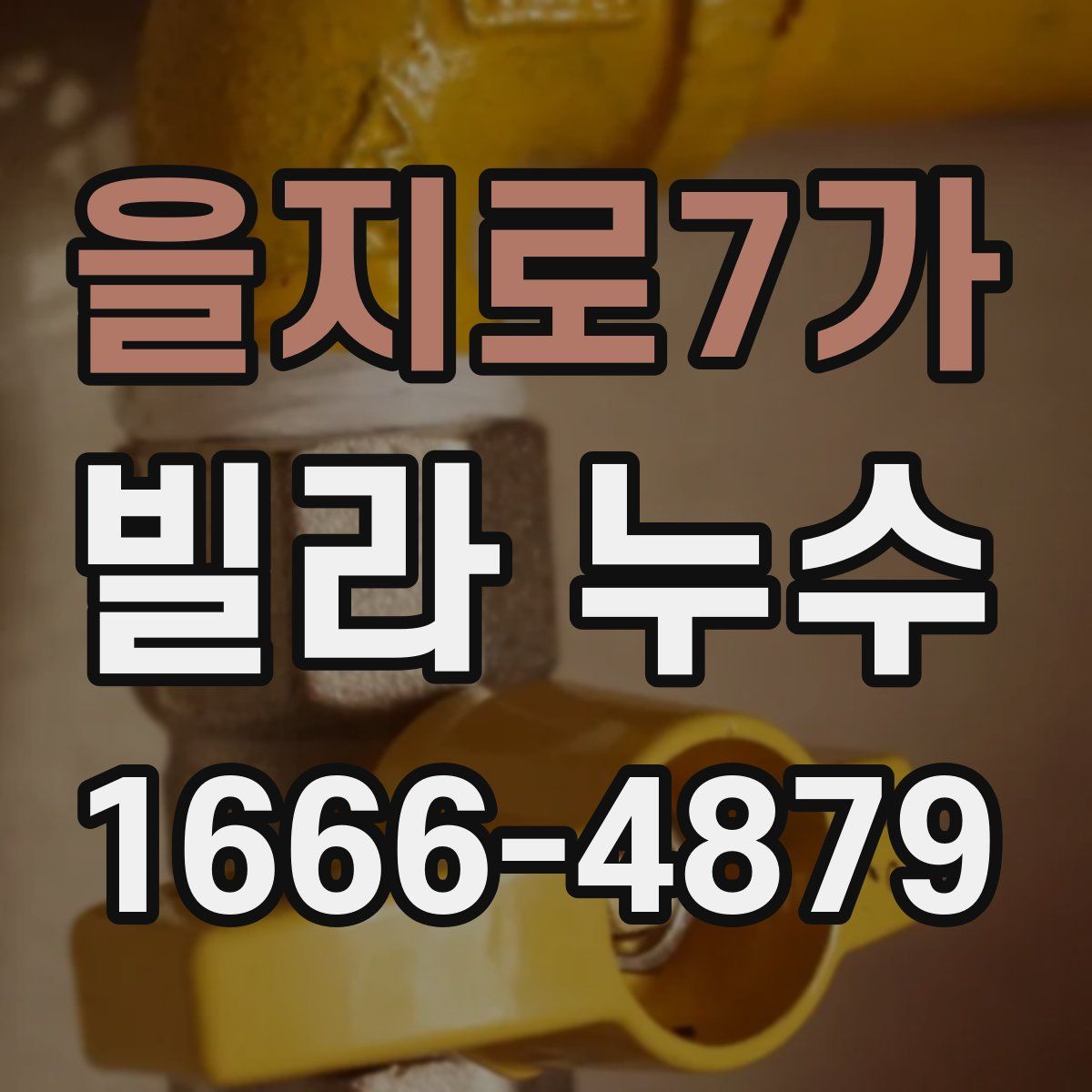 을지로7가 빌라 누수