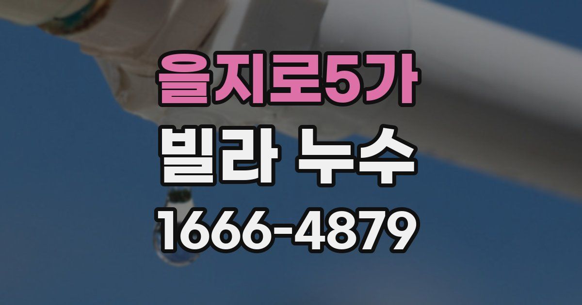 을지로5가 빌라 누수