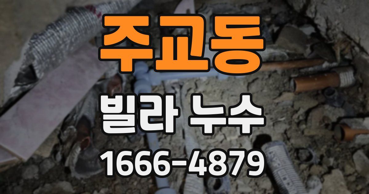주교동 빌라 누수