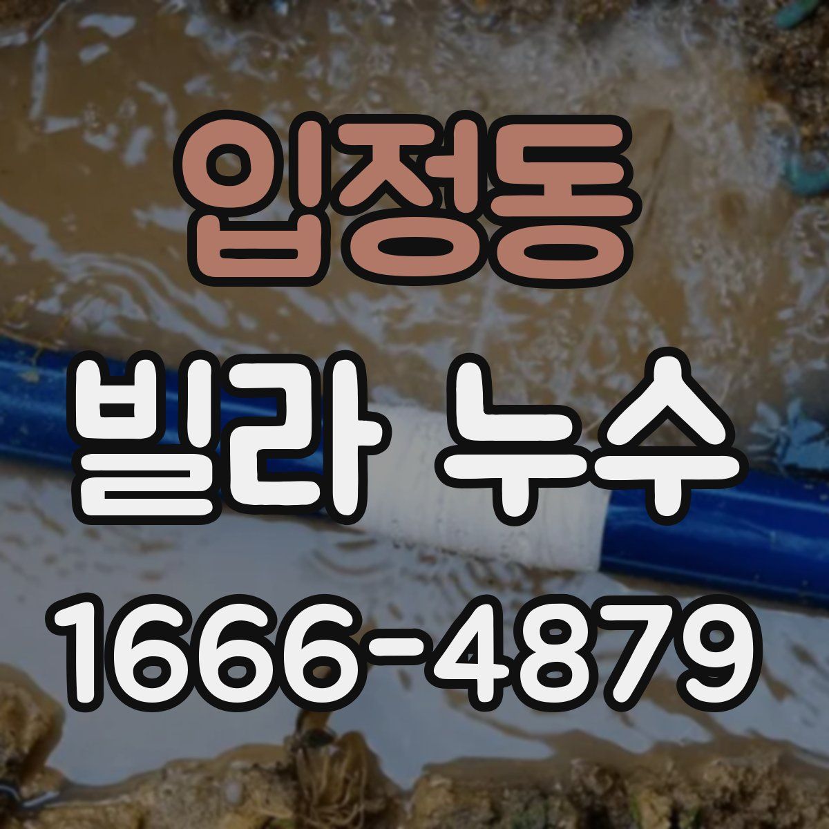 입정동 빌라 누수