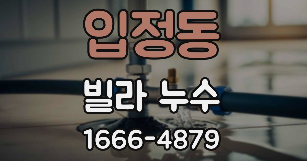 입정동 빌라 누수