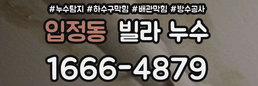 입정동 빌라 누수